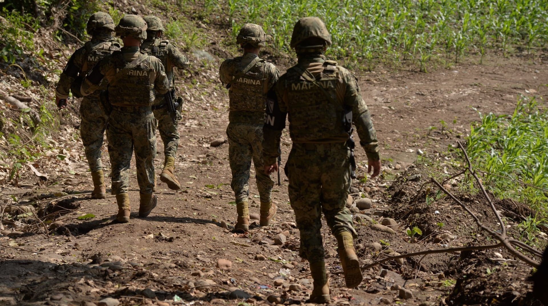 akxhwmb33nhcffs4pp76pyqsvm Elementos de la Secretaría de Marina (Semar)