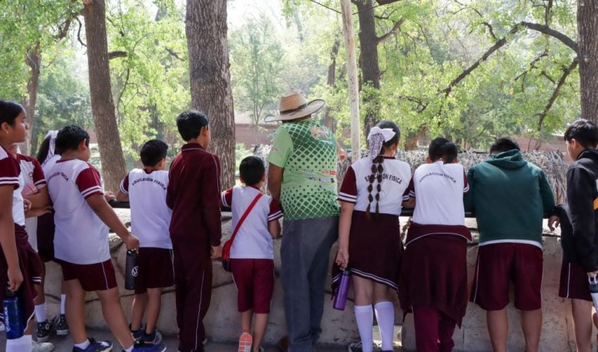 cpb-005-2026-ofrece-comision-de-parques-zoo-visitas-3-850x500-1