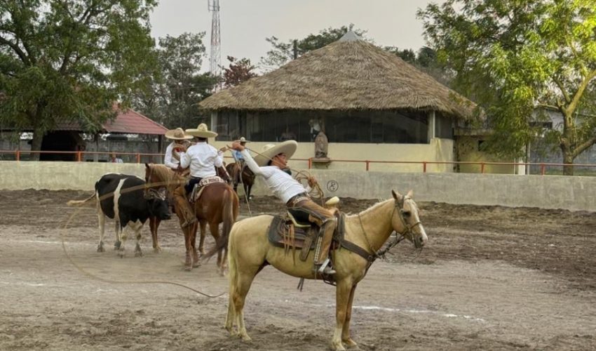 ide-012-2026-concluyen-estatales-de-diversas-disciplinas-rumbo-a-olimpiada-nacional-12-850x500-1