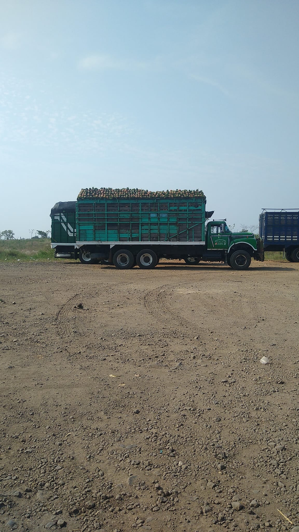 Torton que Bulmaro Herrera manejaba cuando desapareció.