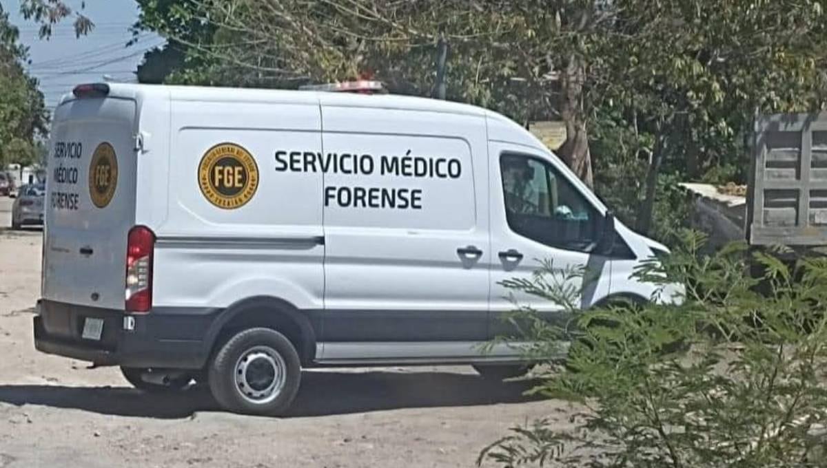 zxjz3hon6rgbfilskpssrh6p7y Hallan hieleras con presuntos restos humanos en Coatzacoalcos