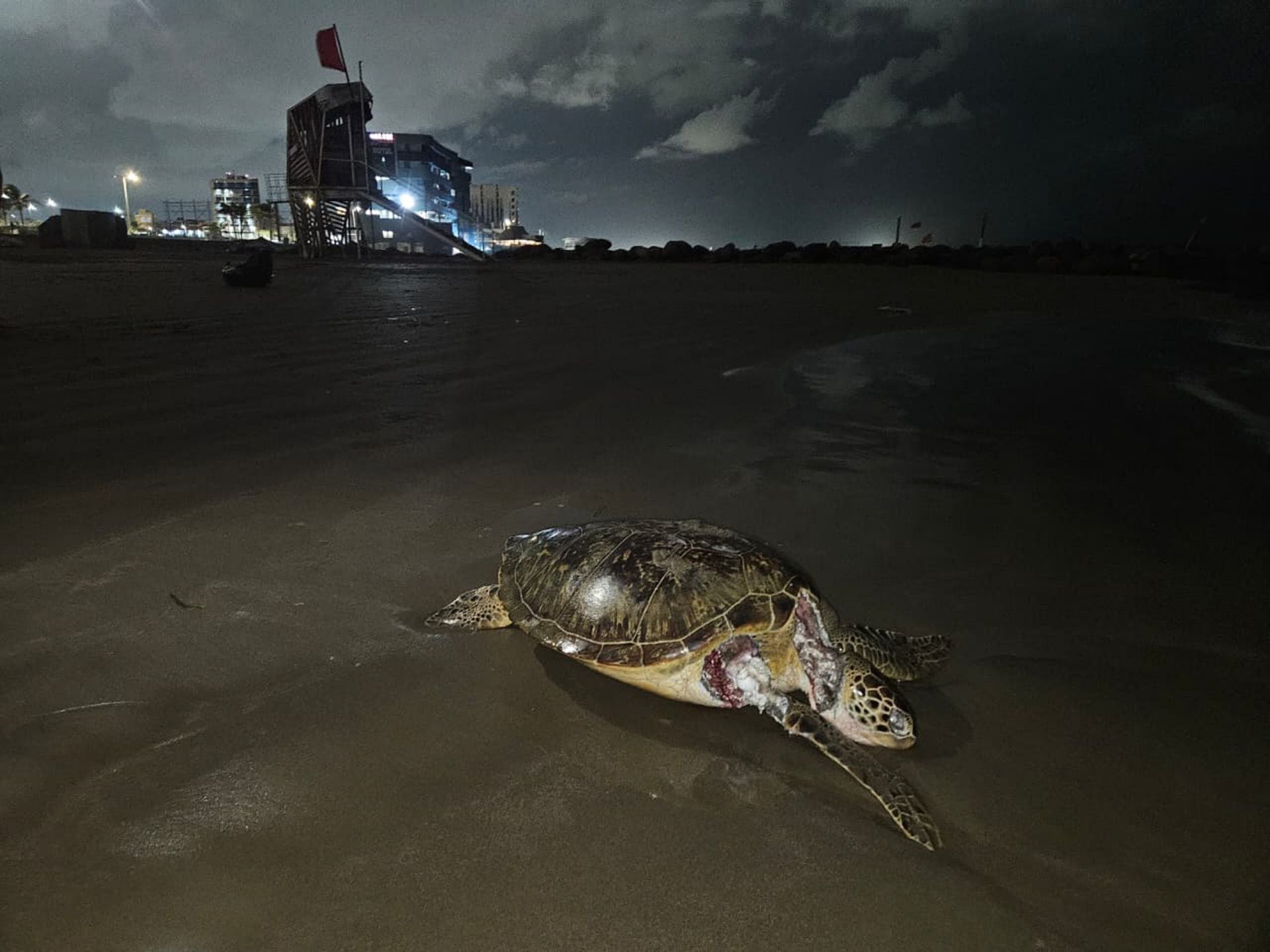 3xg5fcwvajespm5fdq3tosujne Greenpeace alerta daños en arrecifes del Golfo de México por derrame de petróleo