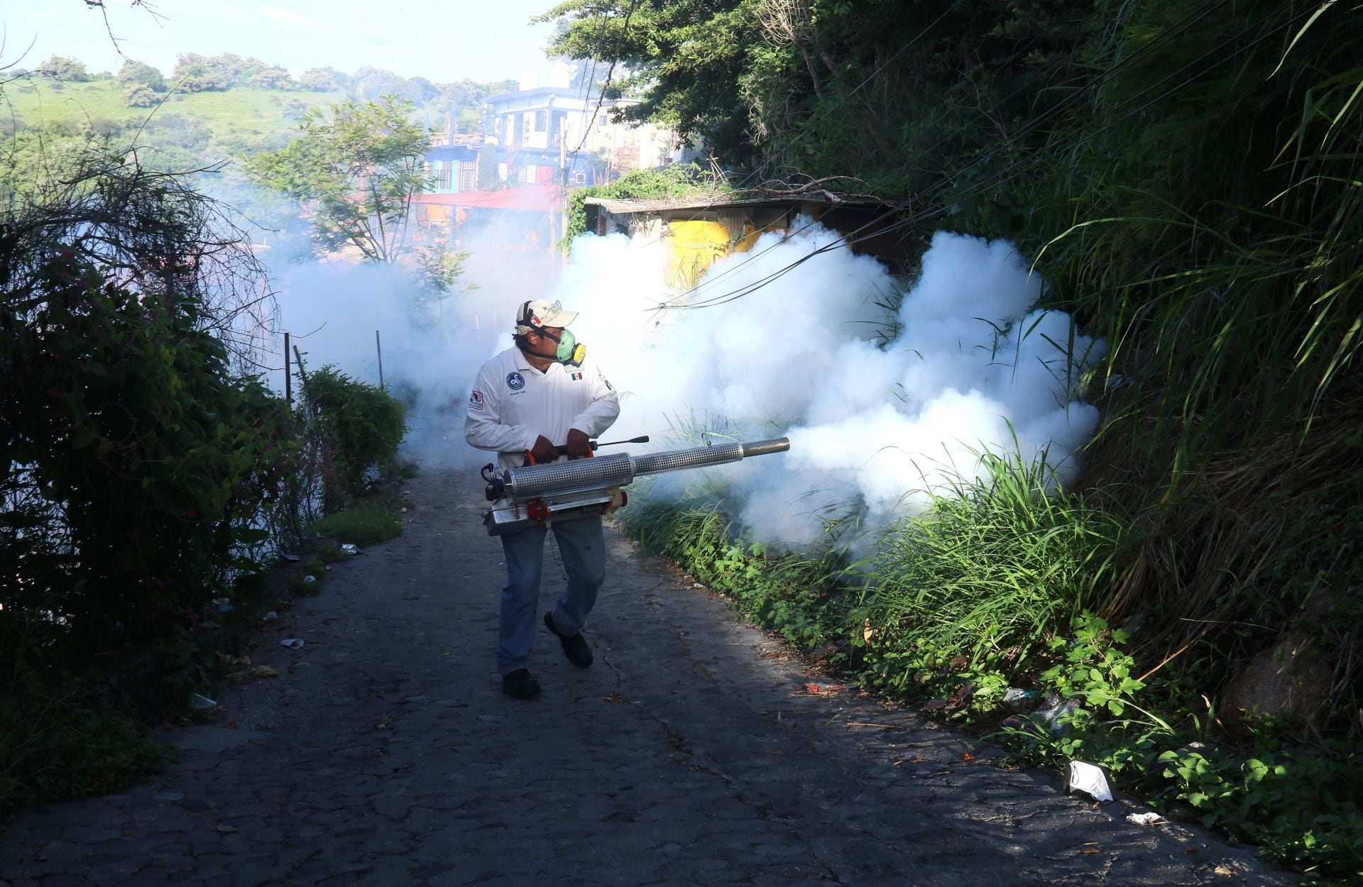 Combate al dengue