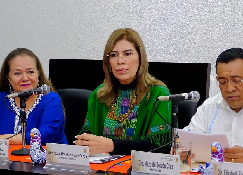 5gx7vggxt5cdfdboioq3fq7lhu ¿Quién es Rosa Aidé Domínguez Ochoa?