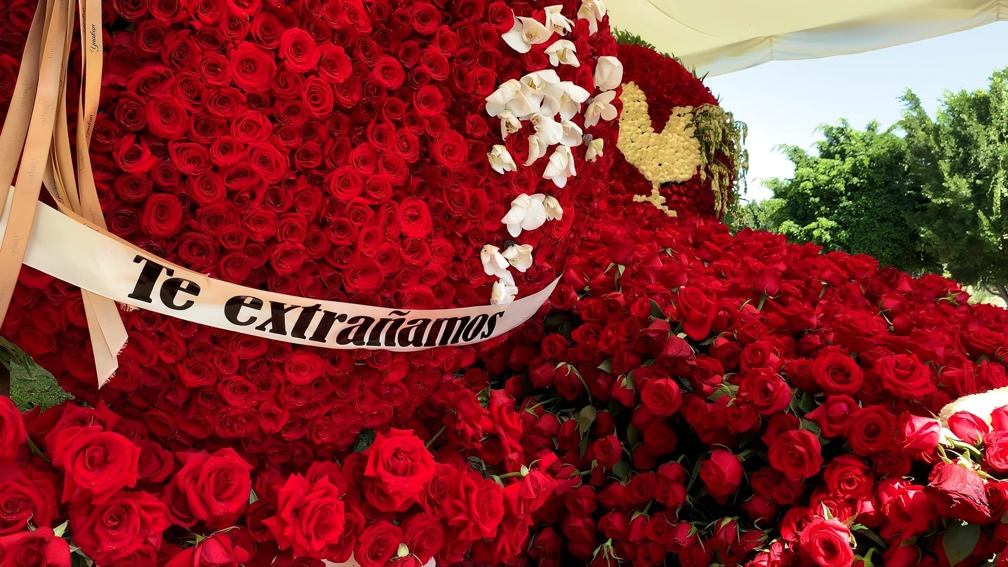 7a3gamplgbeu5a53jwid3pi5se Tumba de El Mencho atrae visitantes al panteón Recinto