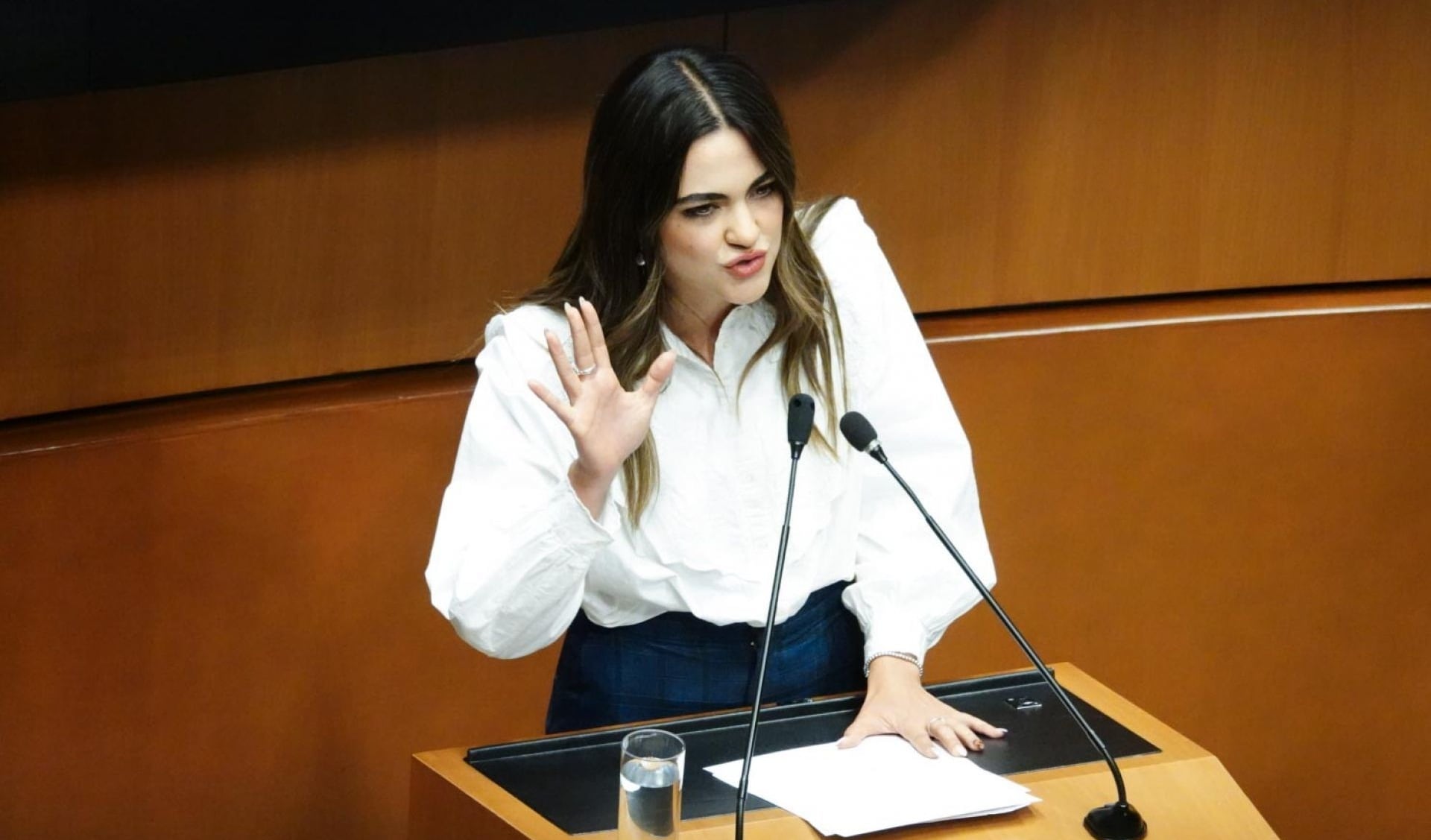 7rpmd5ryrbh5xef7wpd6p27wiq Andrea Chávez, senadora de Morena