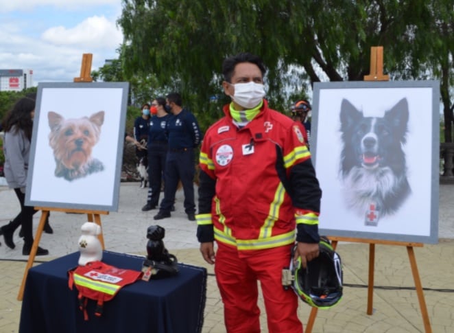 Homenaje a los perros rescatistas Athos y Tango