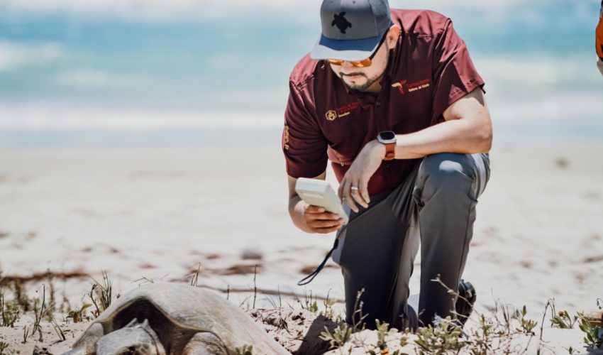 cpb-010-2026-preparan-operativos-en-playas-por-arribo-de-tortugas-durante-semana-santa-1-850x500-1