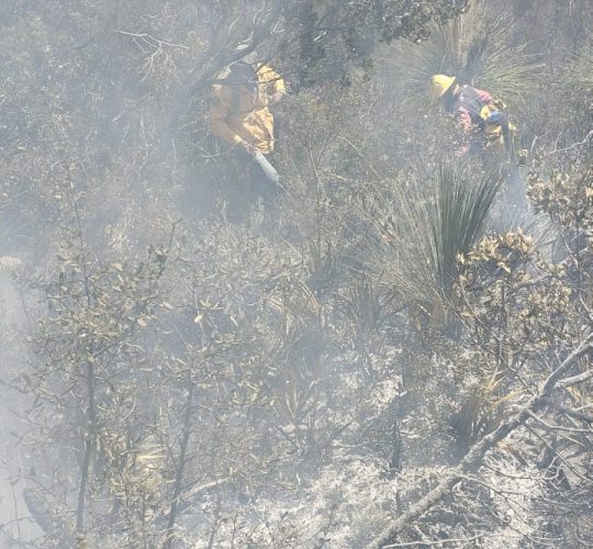 cpc-010-2026-continuan-labores-para-el-control-y-liquidacion-de-incendio-forestal-en-el-cerro-el-tepozan-1-540x500-1