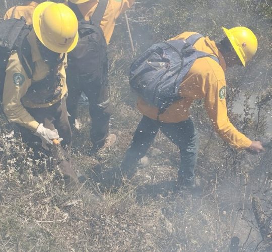 cpc-010-2026-continuan-labores-para-el-control-y-liquidacion-de-incendio-forestal-en-el-cerro-el-tepozan-2-540x500-1