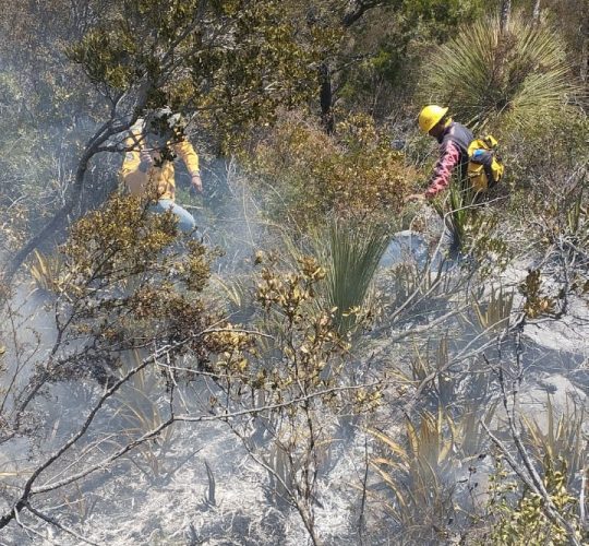 cpc-010-2026-continuan-labores-para-el-control-y-liquidacion-de-incendio-forestal-en-el-cerro-el-tepozan-3-540x500-1