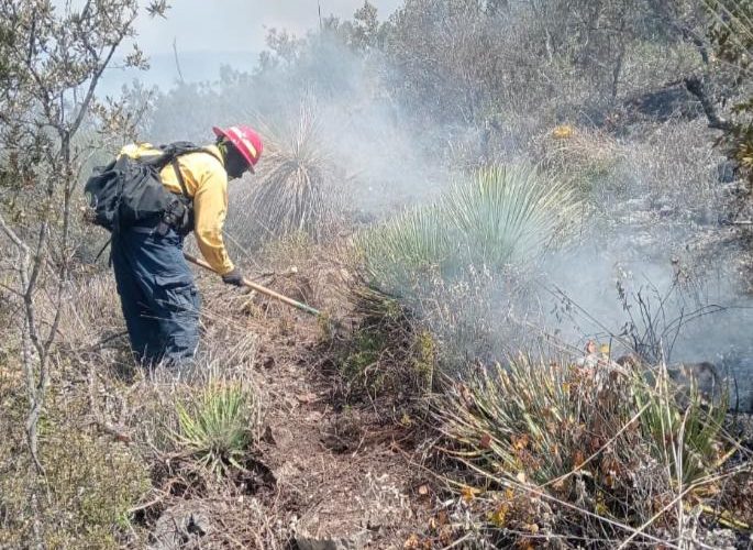 cpc-010-2026-continuan-labores-para-el-control-y-liquidacion-de-incendio-forestal-en-el-cerro-el-tepozan-4-685x500-1