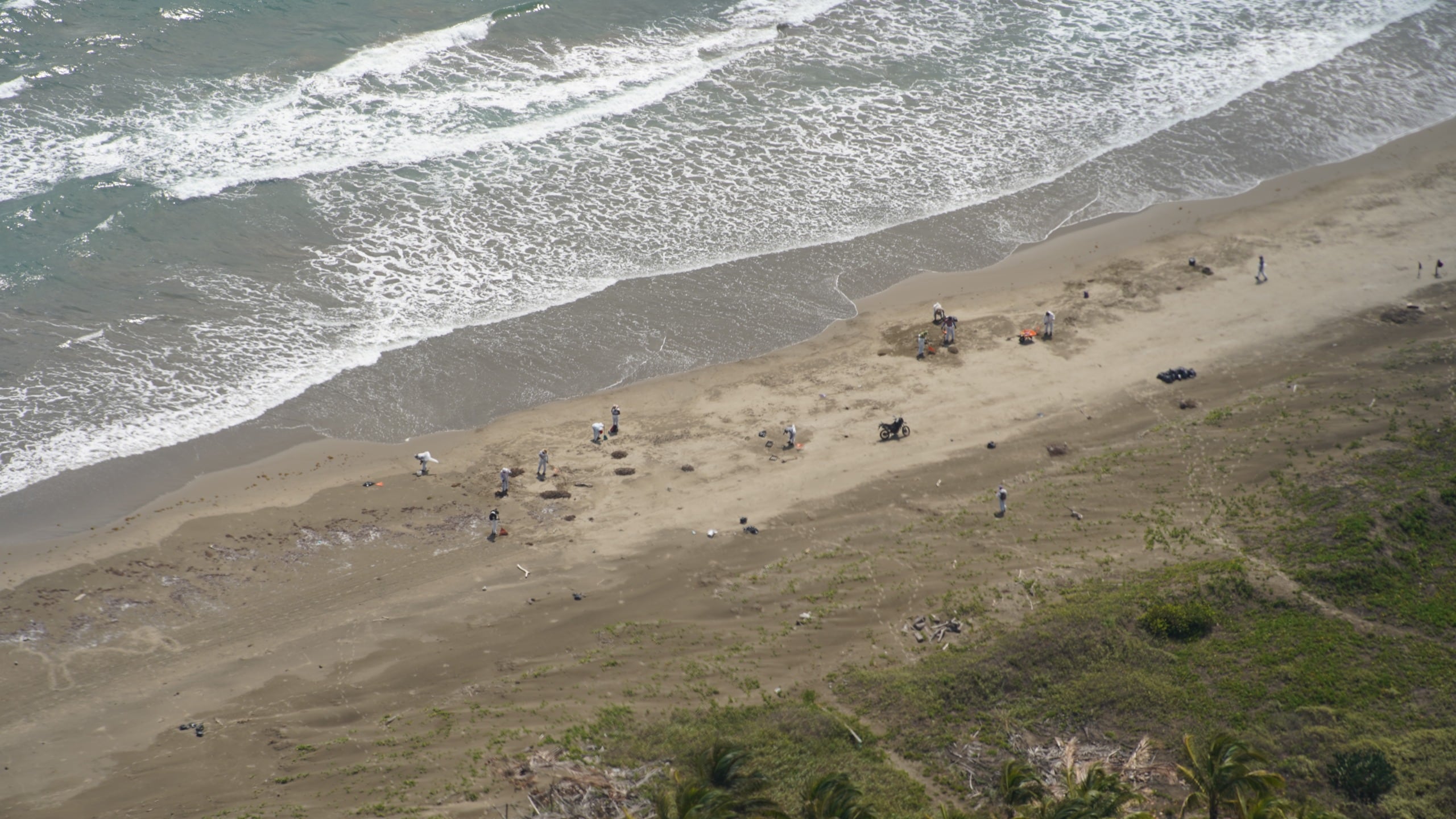 Arrecifes del Golfo siguen sin daños severos, afirma Bárcena