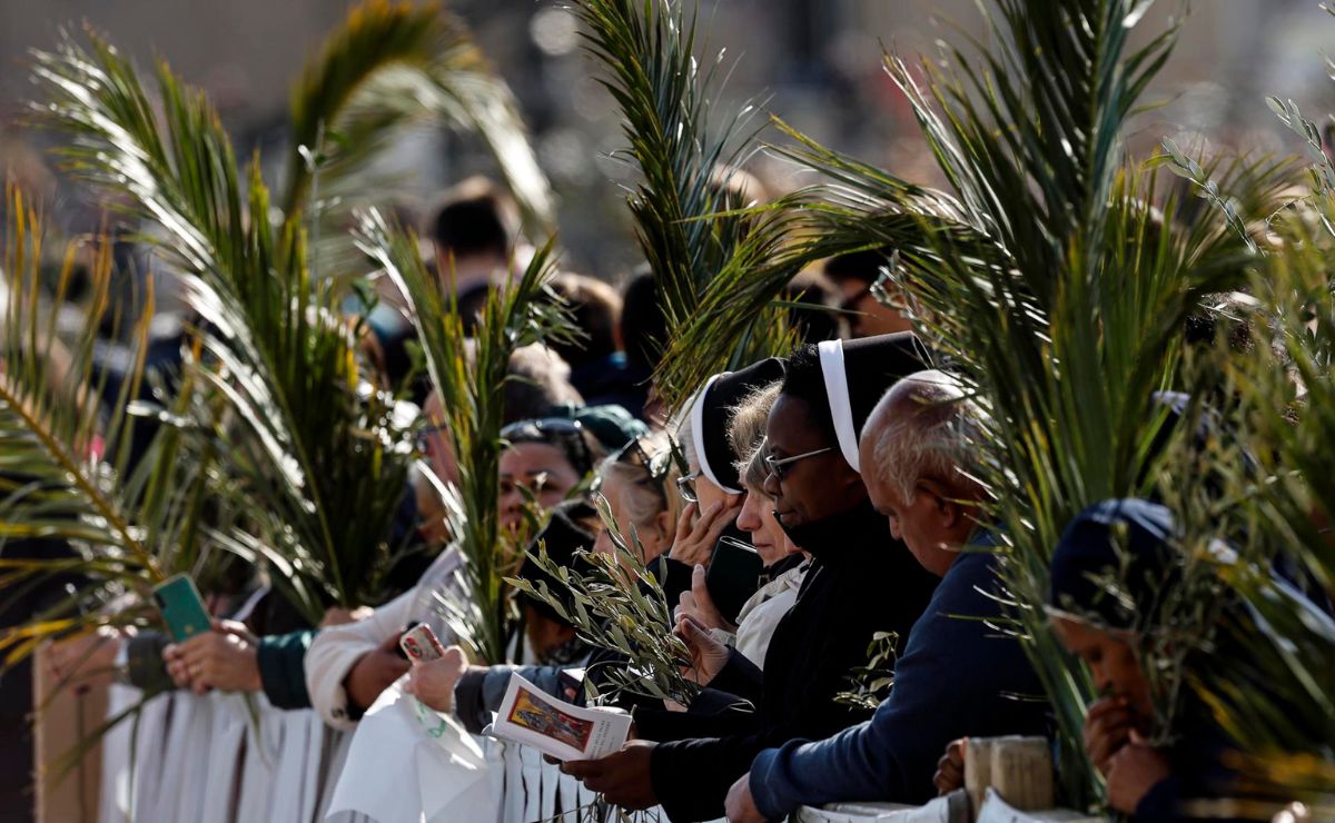 domingo-de-ramos-en-el-vaticano ¡Recuerden que son hermanos!: papa León XIV pide este Domingo de Ramos deponer las armas - domingo-de-ramos-en-el-vaticano