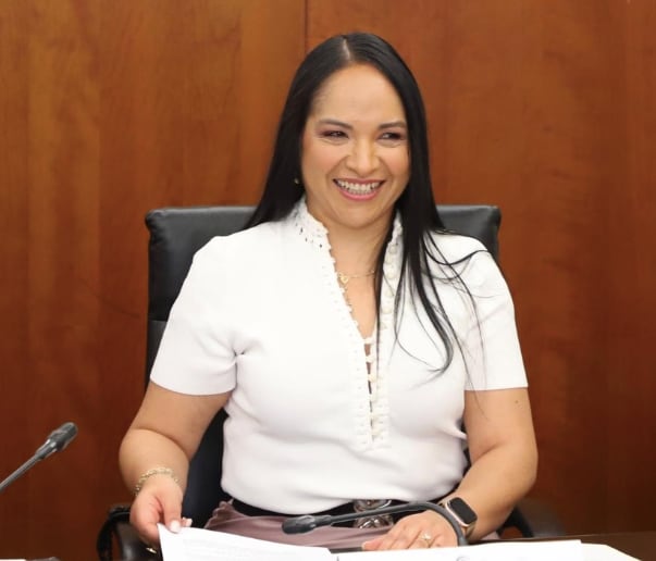 Lizeth Sánchez García. Senadora del PT
