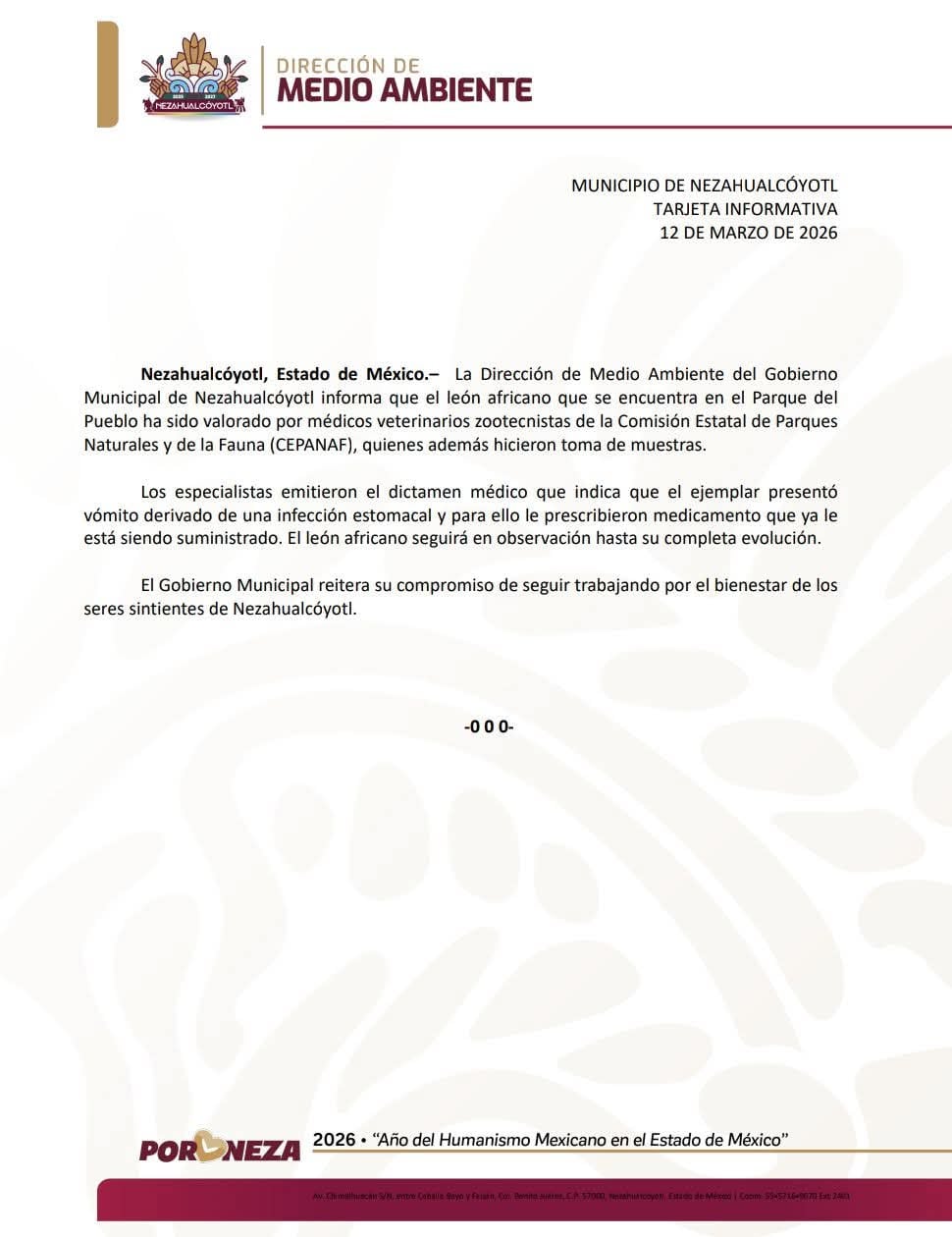 Gobierno de Nezahualcóyotl responde a denuncias por león en Zoológico Parque del Pueblo