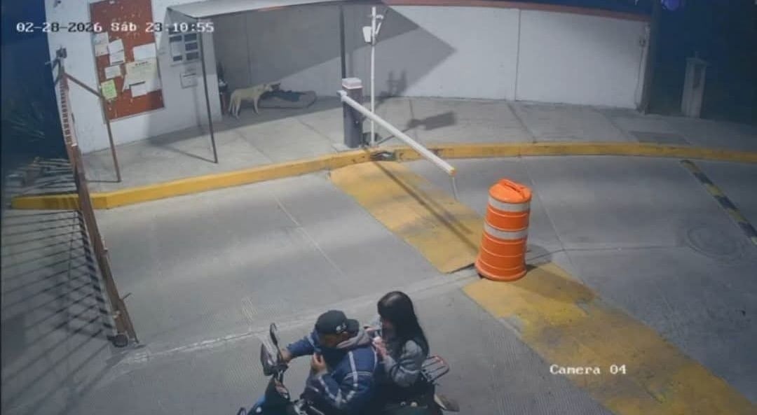 klyjm32q4vgnbglylmrh6gmyf4-1 Ana Karen Nute fue hallada sin vida tras abordar un DiDi Moto
