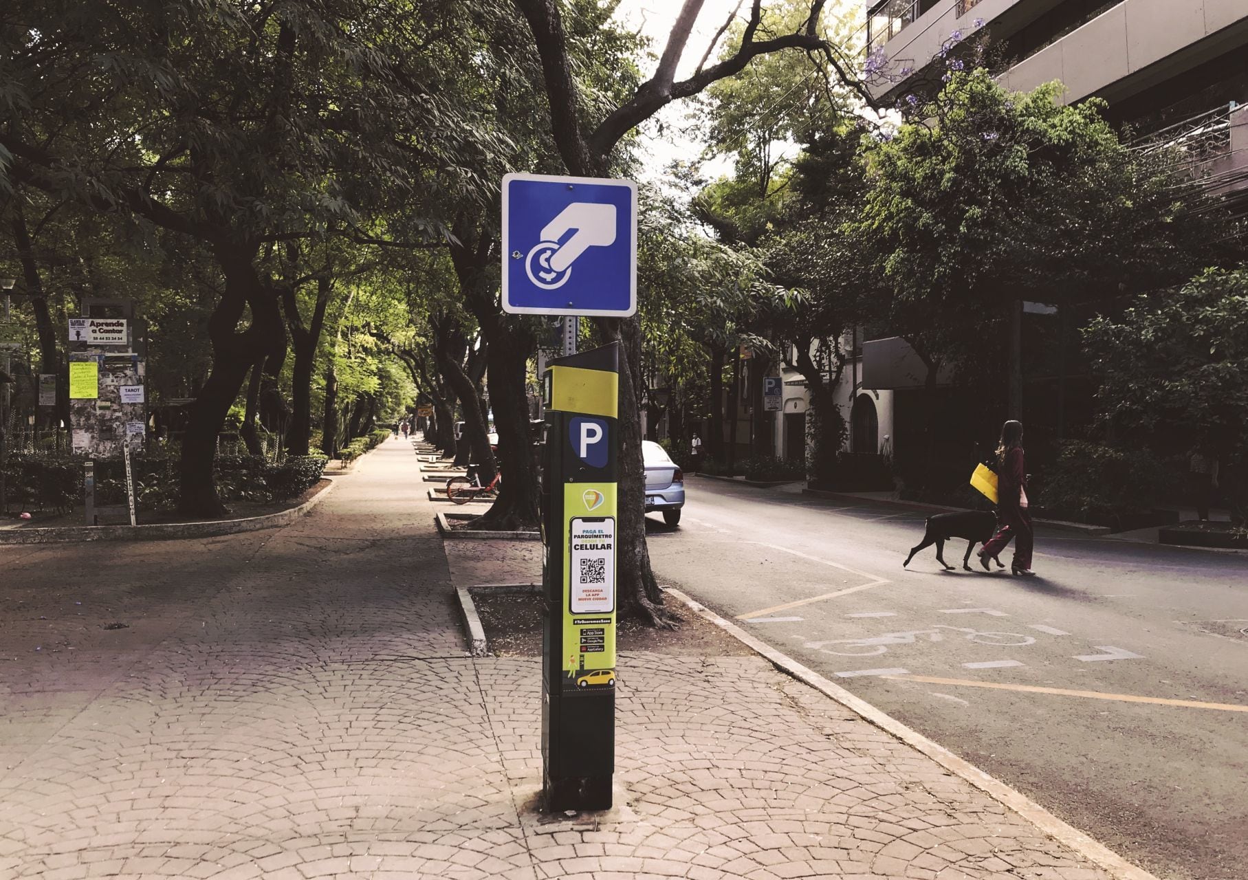 Diputada del PAN busca que dinero de parquímetros mejore colonias en CDMX