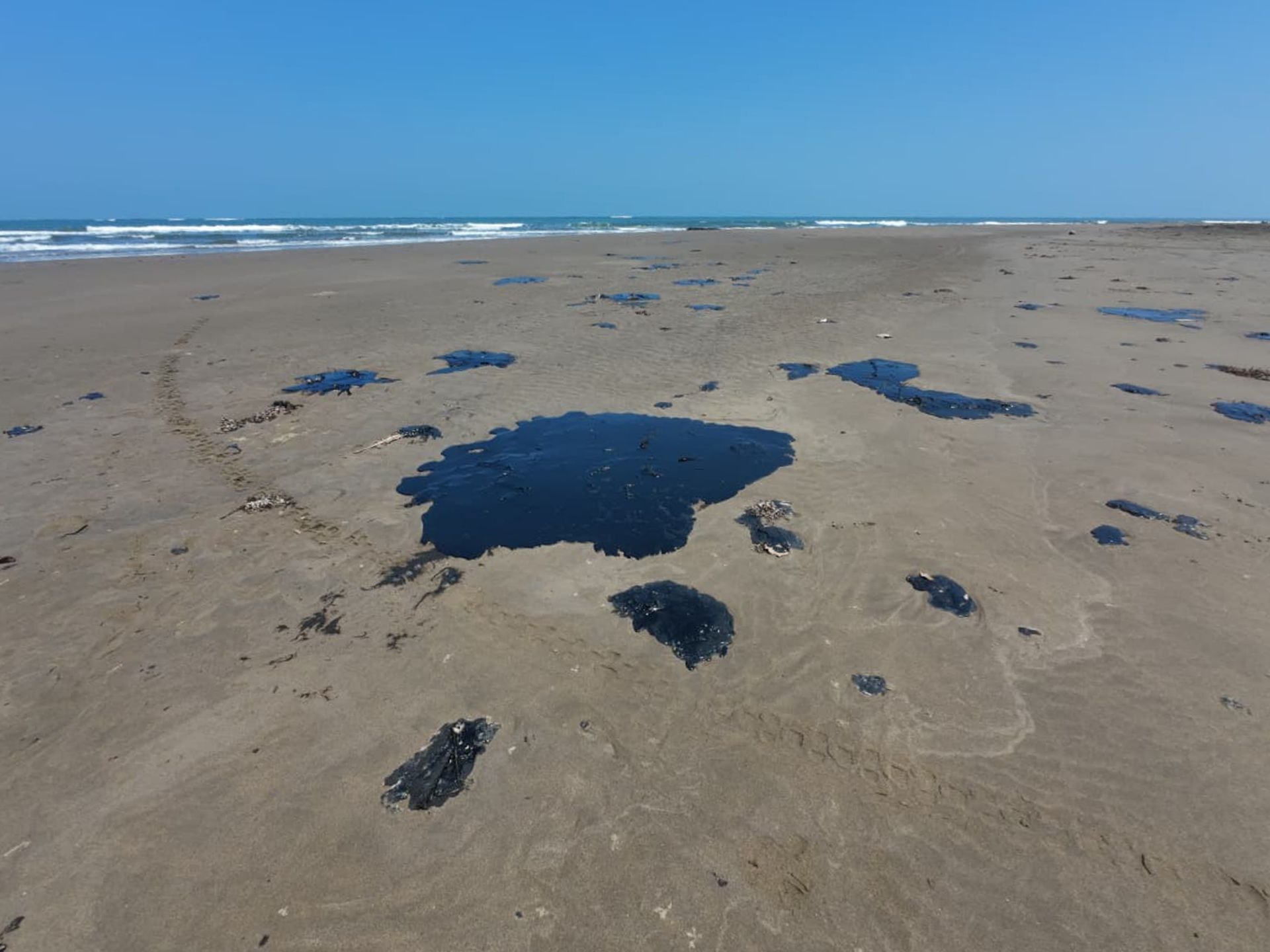 Derrame de hidrocaburos en las costas de Veracruz