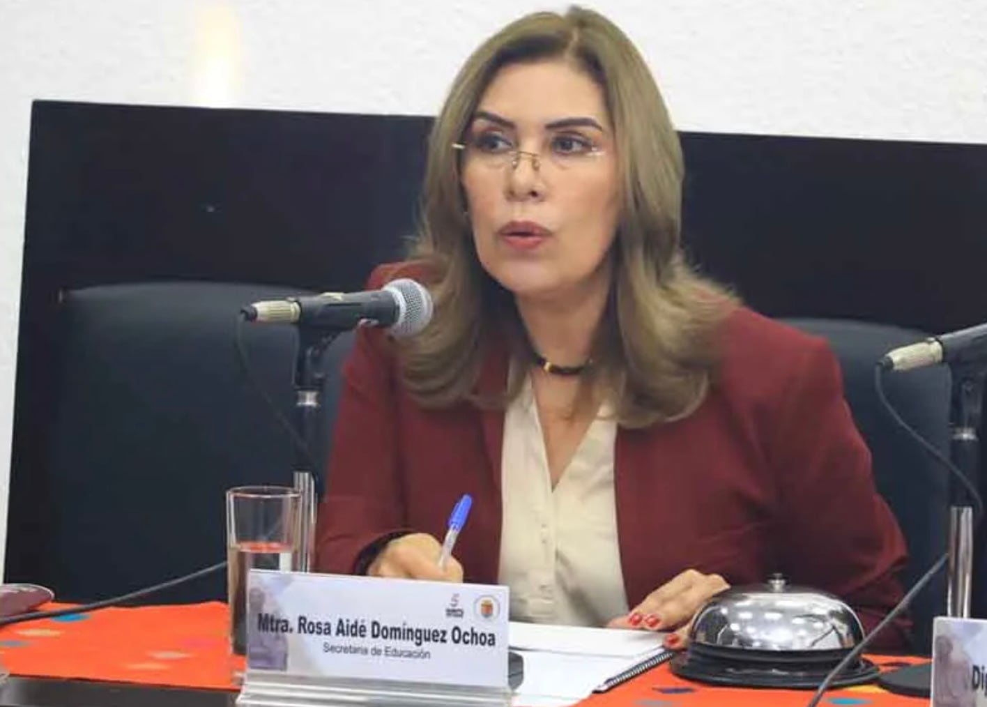 ¿Quién es Rosa Aidé Domínguez Ochoa?
