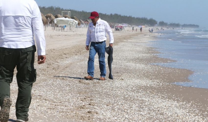 sdu-016-2026-despliega-tamaulipas-acciones-coordinadas-para-mantener-limpias-las-playas-2-850x500-1