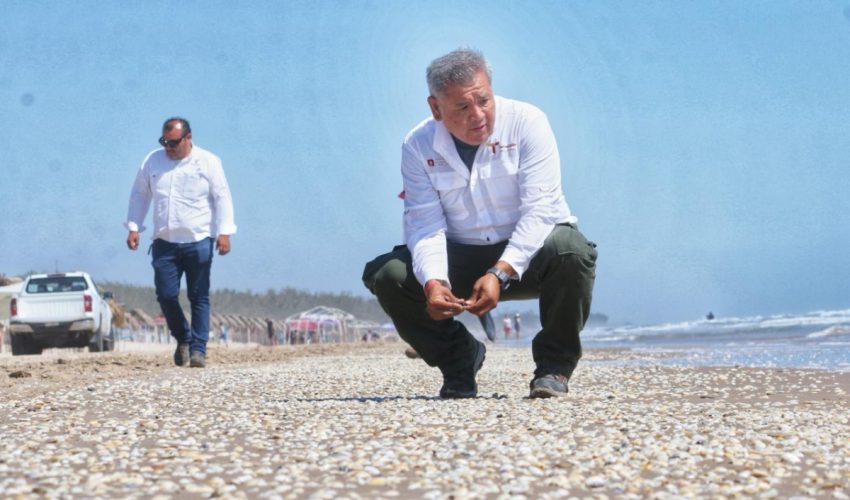 sdu-016-2026-despliega-tamaulipas-acciones-coordinadas-para-mantener-limpias-las-playas-3-850x500-1