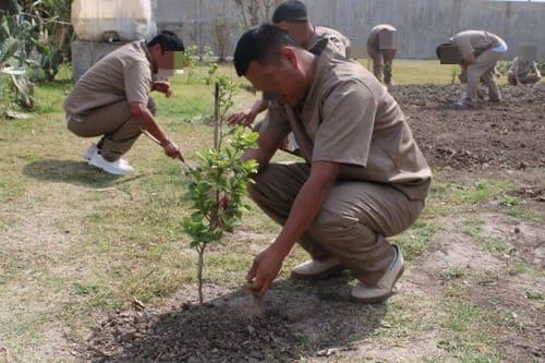 ssp-074-2026-fomenta-cedes-matamoros-relaciones-interpersonales-positivas-6