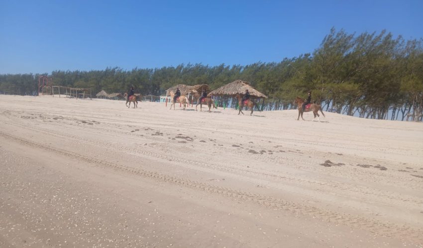 ssp-105-2026-despliega-guardia-estatal-operativo-en-playa-la-pesca-durante-semana-santa-1-850x500-1