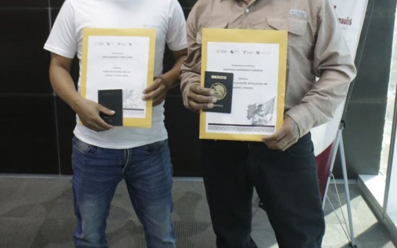 str-047-2026-trabajadores-tamaulipecos-parten-al-extranjero-con-respaldo-institucional-6-800x500-1