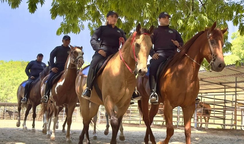 stu-053-2026-con-mas-de-5-mil-guardianes-tamaulipas-seguro-te-espera-1-850x500-1