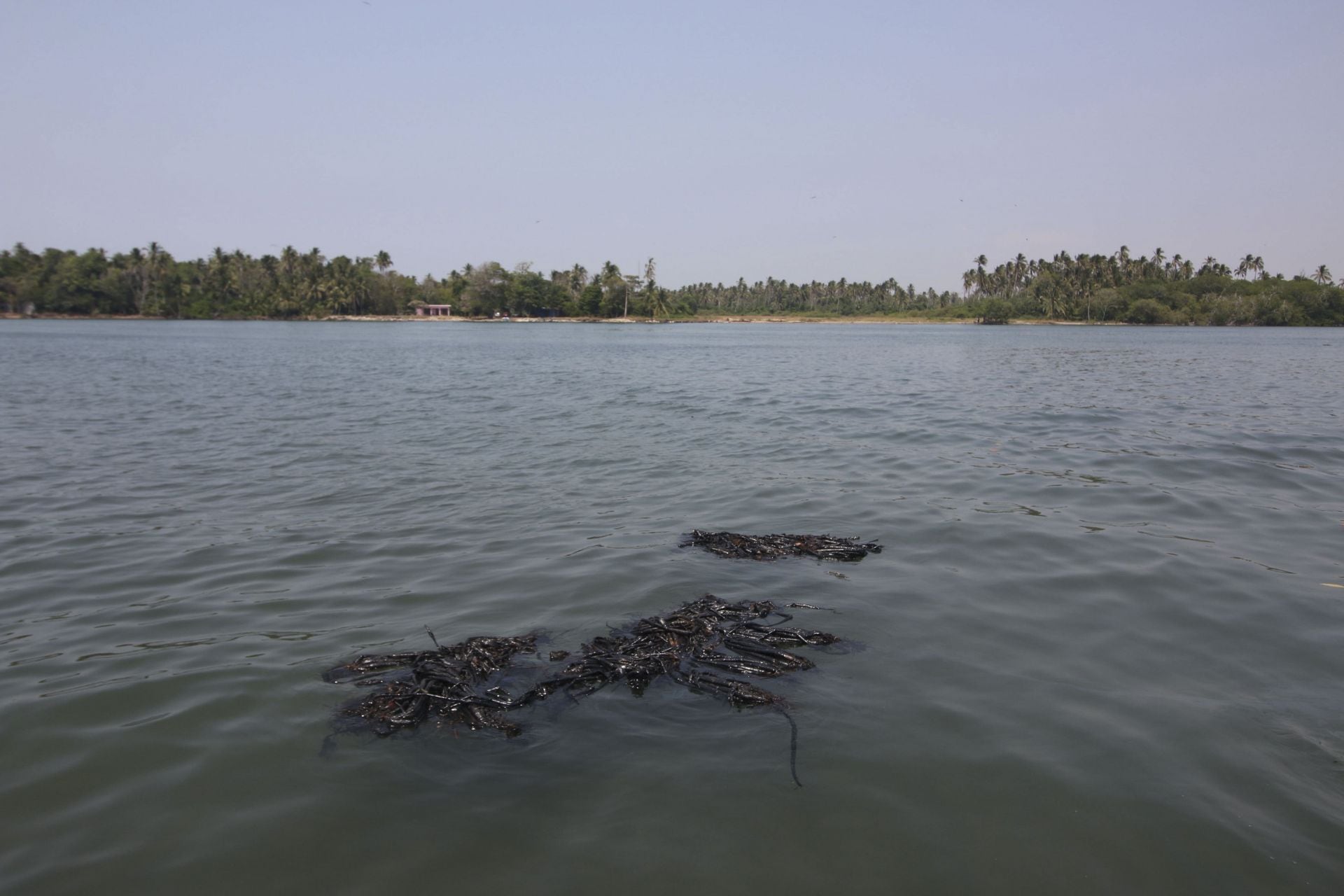 Costa de Paraíso reporta derrame de petróleo.