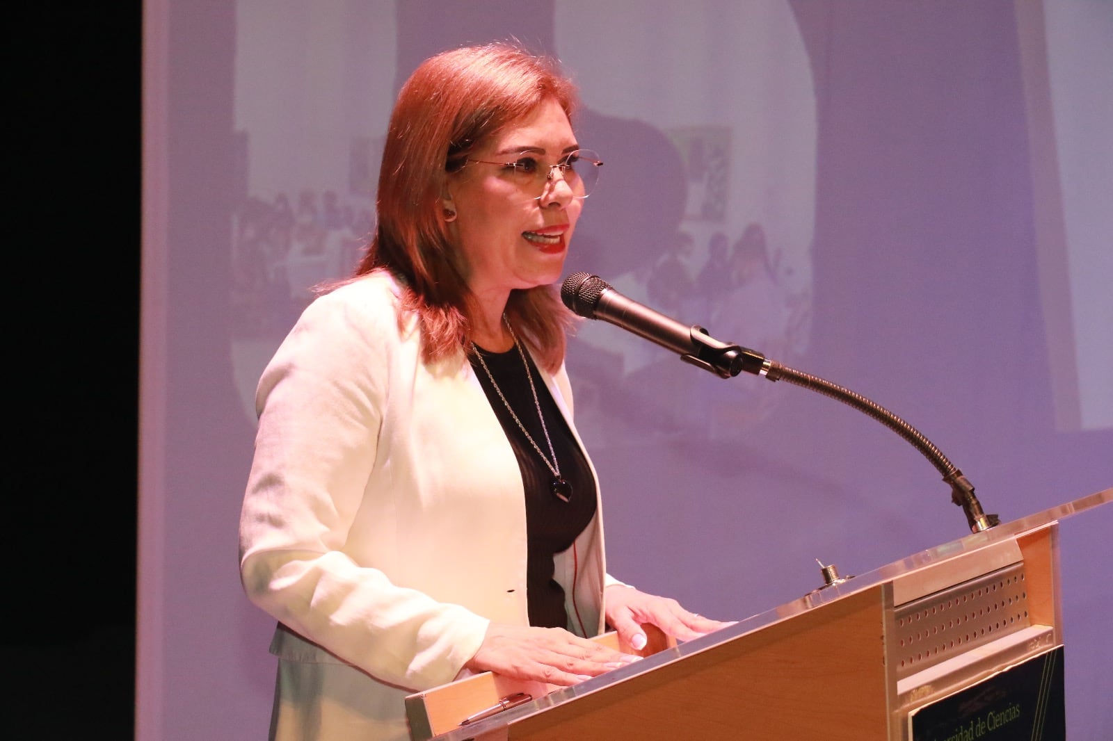 zvwl7efmlbhznfylxeigr6qhbq ¿Quién es Rosa Aidé Domínguez Ochoa?