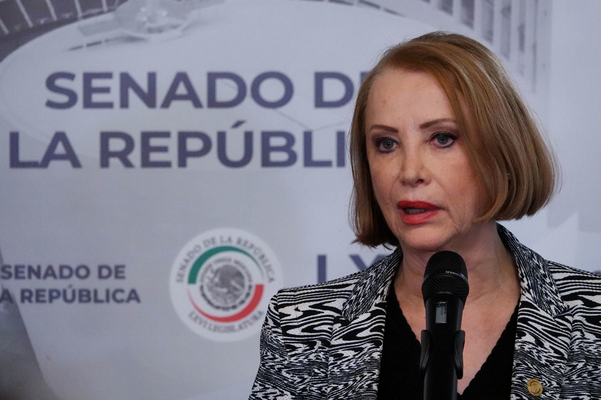 Laura Itzel Castillo rinde protesta como nueva presidenta de la Cámara de Senadores.