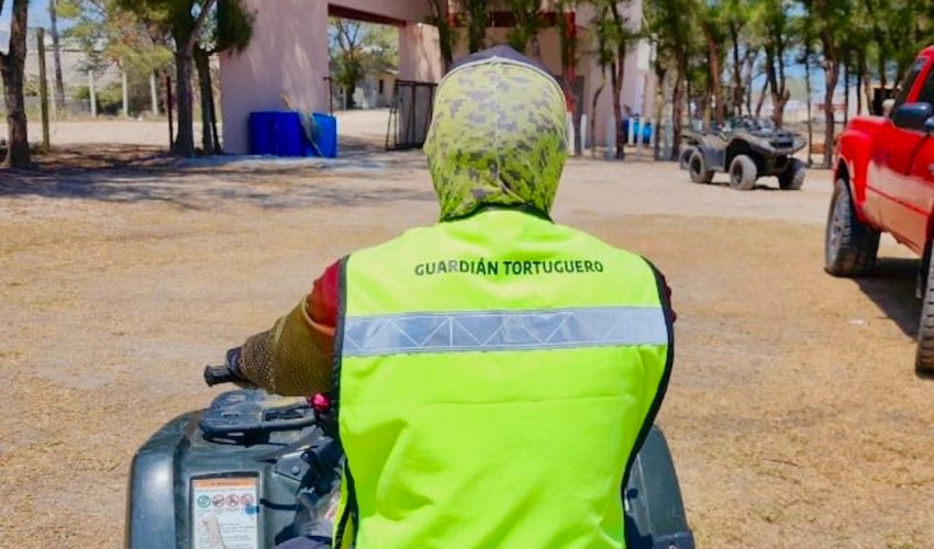 cpb-019-2026-intensifica-tamaulipas-monitoreo-y-resguardo-de-nidos-de-tortuga-lora-1-850x500-1