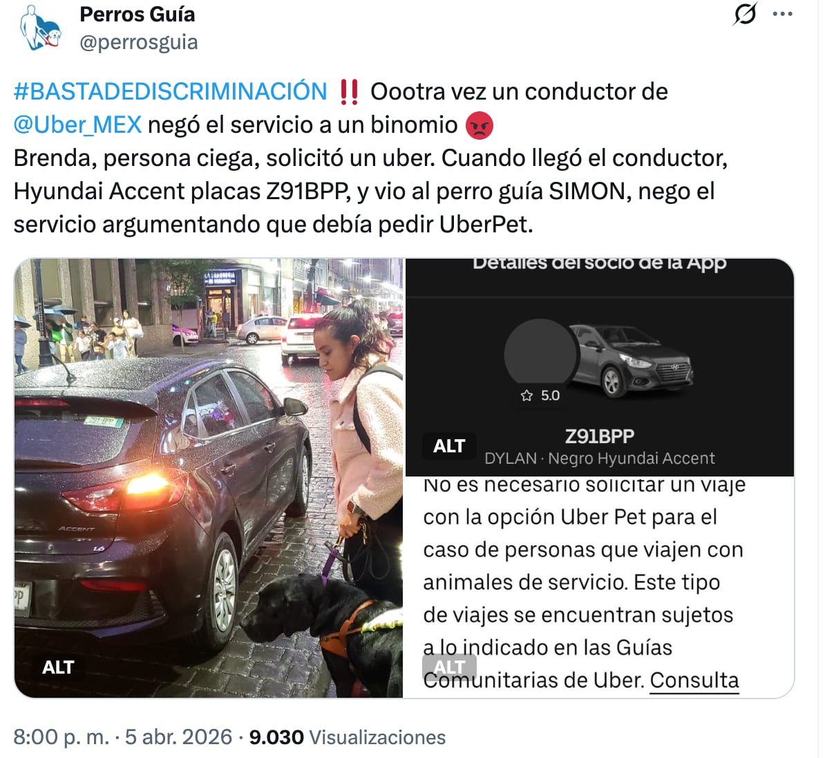 e6cr4tkzqfamtjyjir57jcet44 Reportan discriminación de Uber a usuaria con perro guía