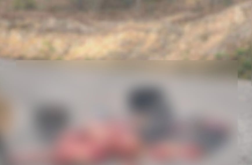 Hallan restos humanos en localidad de Guerrero