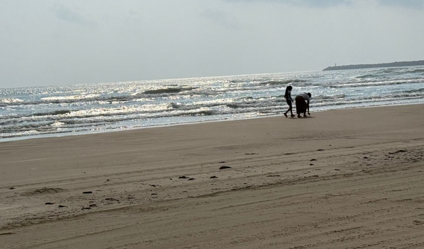 sdu-018-2026-mantiene-tamaulipas-vigilancia-activa-en-playas-4-850x500-1