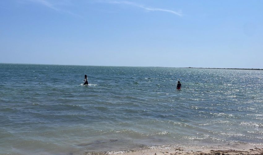 sdu-018-2026-mantiene-tamaulipas-vigilancia-activa-en-playas-7-850x500-1