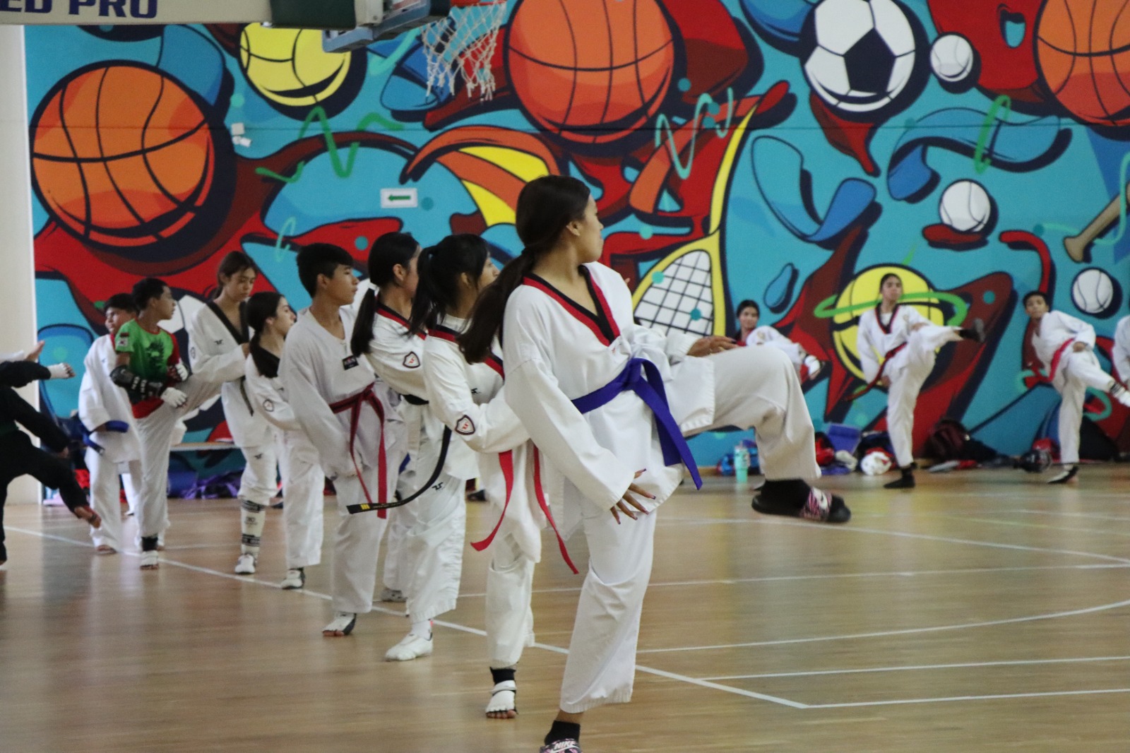 Apoya Gobierno de Reynosa a la Liga Municipal de Taekwondo