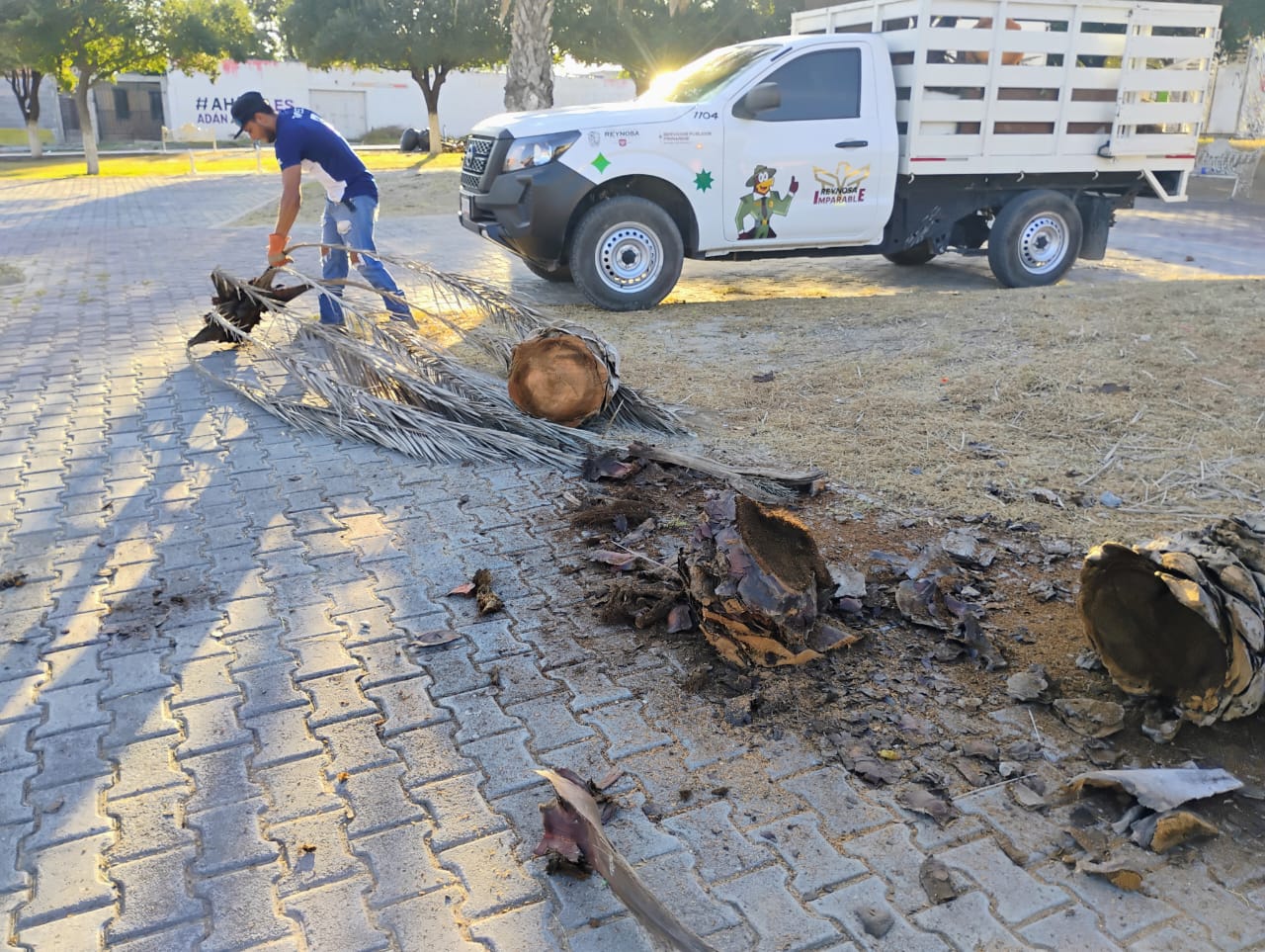 Cuida Gobierno de Reynosa espacios de convivencia