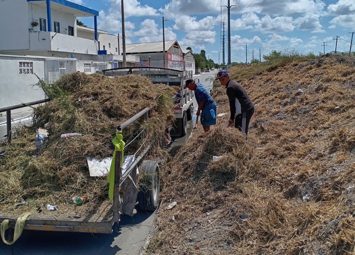 Actividades de mantenimiento del Gobierno Municipal de Reynosa