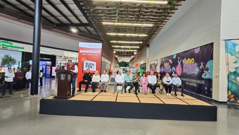 WhatsApp Image 2025-11-13 at 16.58