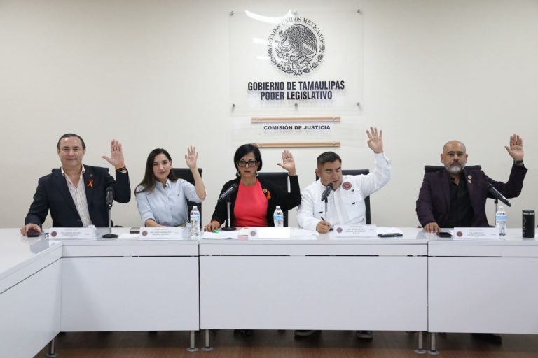 WhatsApp Image 2025-11-25 at 4.49.31 p.m