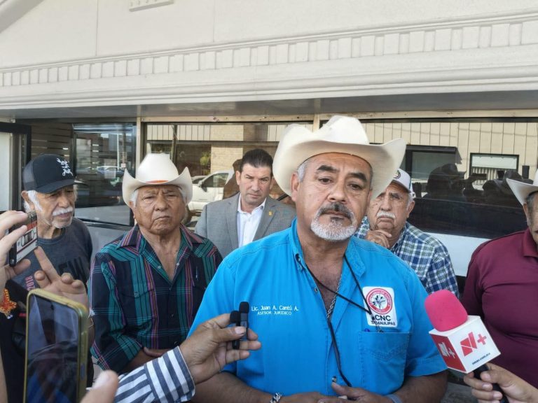 FB_IMG_1771267710660