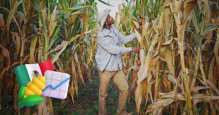 awail3ckxrfirmgpv3phvuar3y