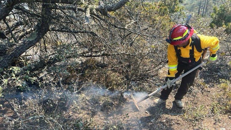 cpc-004-2026-refuerza-gobierno-de-tamaulipas-acciones-coordinadas-para-el-control-de-incendio-forestal-en-miquihuana-1