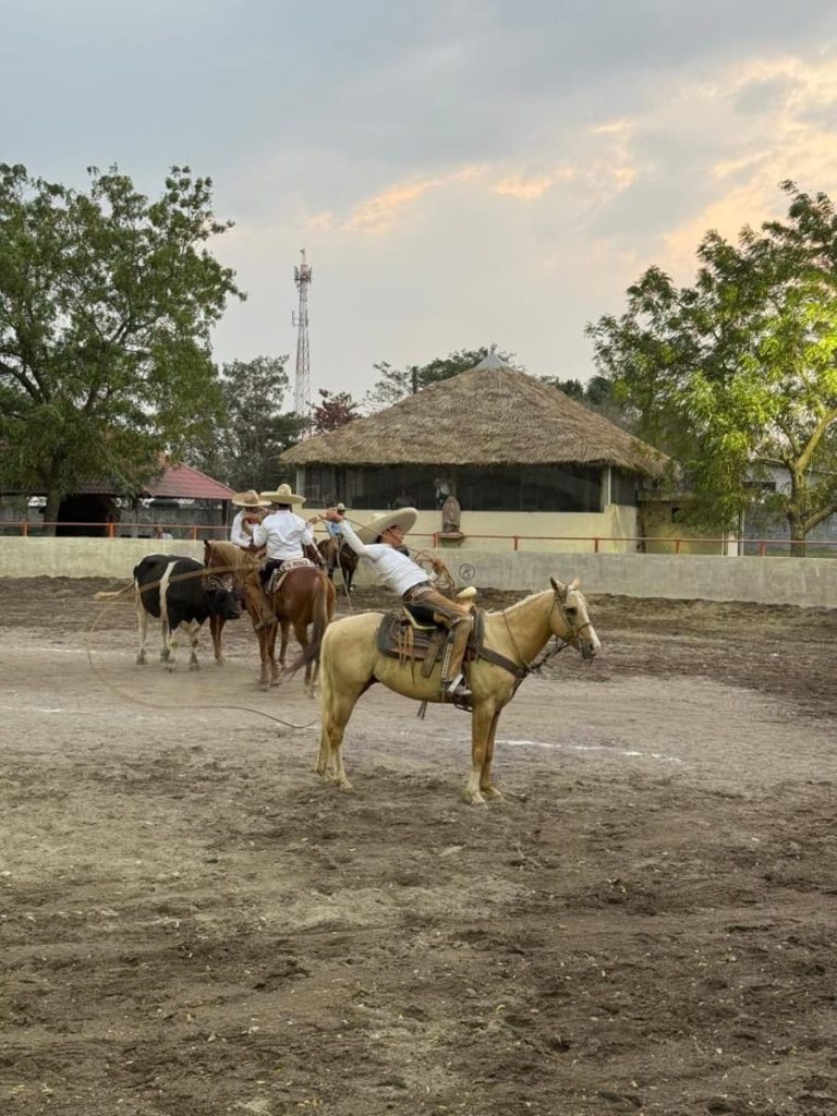 ide-012-2026-concluyen-estatales-de-diversas-disciplinas-rumbo-a-olimpiada-nacional-12