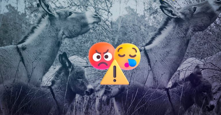 l5awlzgadzdxffivmsg2qbbp7a