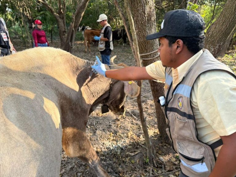 sru-018-2026-altamira-y-llera-declarados-libres-de-gusano-barrenador-del-ganado-2