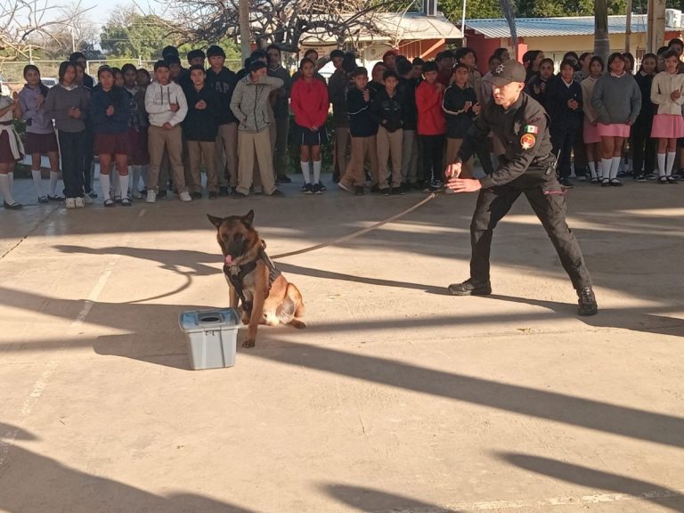 ssp-050-2026-con-binomio-canino-antidrogas-la-guardia-estatal-refuerza-la-prevencion-en-escuelas-8